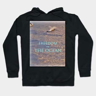 Golden Dolphin Hoodie